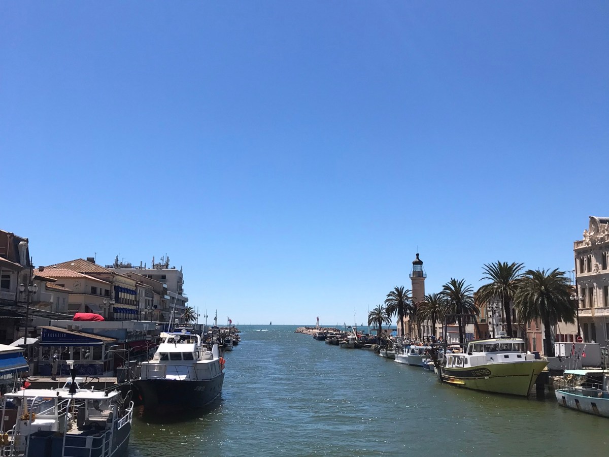 Bouffée de nature en&nbsp;Camargue
